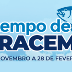 É TEMPO DE PIRACEMA