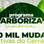 PROGRAMA ARBORIZA LUZIÂNIA