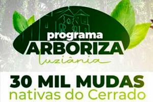Read more about the article PROGRAMA ARBORIZA LUZIÂNIA