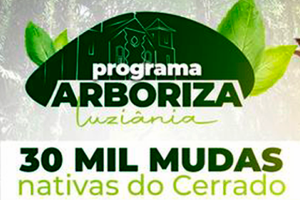 Leia mais sobre o artigo PROGRAMA ARBORIZA LUZIÂNIA